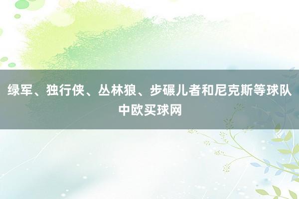 绿军、独行侠、丛林狼、步碾儿者和尼克斯等球队中欧买球网