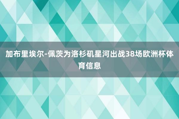 加布里埃尔-佩茨为洛杉矶星河出战38场欧洲杯体育信息