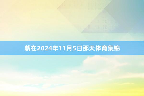 就在2024年11月5日那天体育集锦