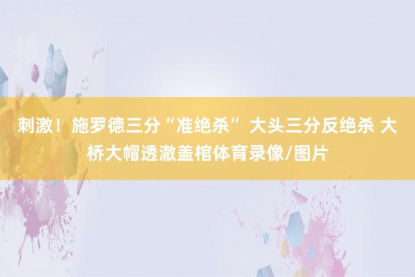 刺激！施罗德三分“准绝杀” 大头三分反绝杀 大桥大帽透澈盖棺体育录像/图片