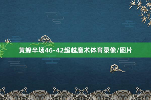 黄蜂半场46-42超越魔术体育录像/图片