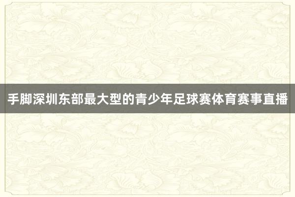 手脚深圳东部最大型的青少年足球赛体育赛事直播