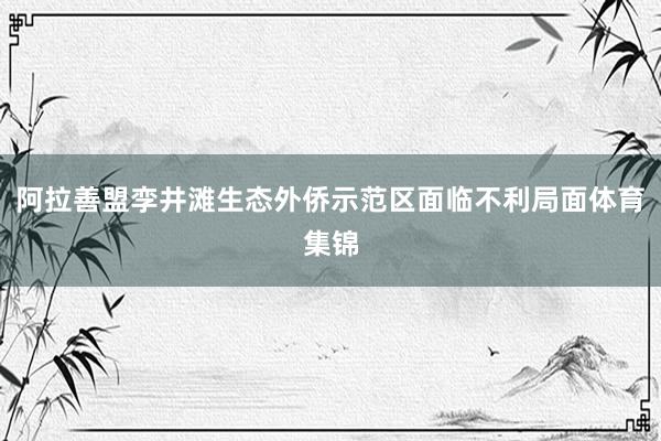 阿拉善盟孪井滩生态外侨示范区面临不利局面体育集锦