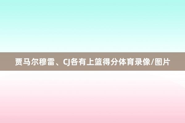 贾马尔穆雷、CJ各有上篮得分体育录像/图片